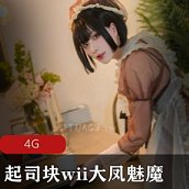 高质量cosplay（起司块wii）足系列合集