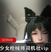 微博（少女枪械师）司机社vip合集