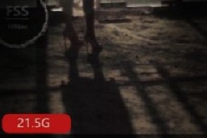 精选犬系妹子网红FSS冯珊珊大礼包