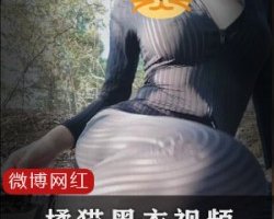 精选橘猫黑条纹衣两部