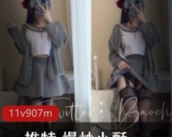 精选某推_爆炒小酥_21.7月-10月视图大礼包