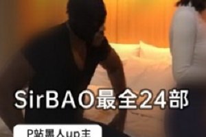 精选B站黑人up主SirBAO整合24部