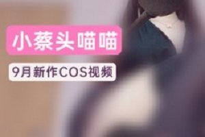 精选小蔡头喵喵喵《9月御姐之歌》