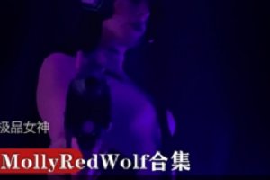 精选P战极品女神MollyRedWolf大礼包【Dva】