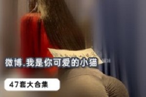 精选我是你可爱的小猫47套珍藏