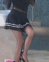 精选橘猫50套定制大礼包