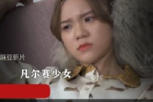 精选麻豆新片MD0149 凌辱凡尔赛少女