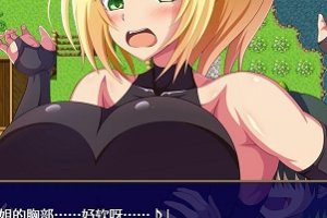 精选经典的HRPG游戏王國騎士塞達尼婭卑猥的欲望完整汉化版