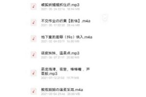 B站asmr主播（仙姬）绝版火箭音频