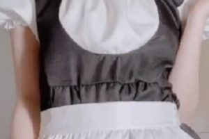 大象传媒<里有>女仆装私人订制