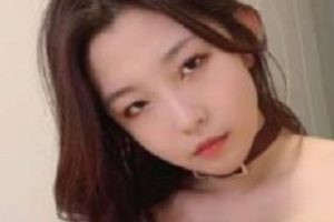 《技能全点满，社保姬与辉夜姬合集》