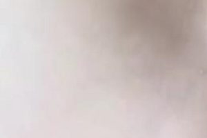 资源合集：47V-3.2G小视频国家作品双X人下载观看