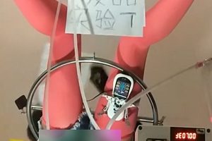 援器学会5部合集，5V+2G，百度盘，群组，绳艺SM，束缚资源