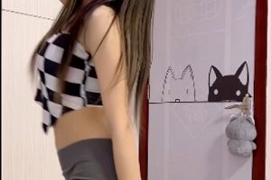 燕儿快手定制合集20v+1.84G，百度盘免费下载