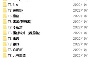 “高颜值视频合集，露脸主播魅力无限，大小312v+18.4g”