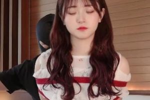 可爱甜美HIKARI美颜版 [2V1.3G]