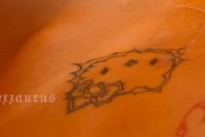 超大道具~活塞机~特写~Ellexxaurus最新合集1V322M，职业博主自拍