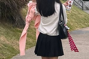 采花小盗百度最新合集99V6G，收藏146部