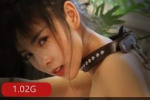 剧情故事IvitaminStudio香艳三季合集1.02G，推特高点击量