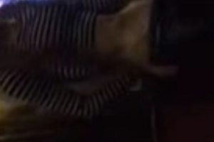 推特伪娘TS合集58部111g丰满诱人