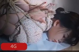 推特SM精品超值合集4G海量资源超值珍藏