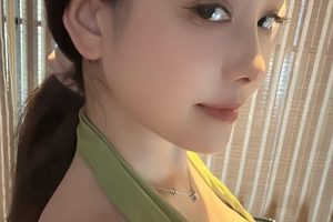 微博奶雯24期绝密合集136部26.8G优质