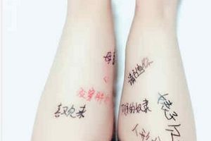 P站猫奴丫舞蹈视频合集98部68G腿控福利