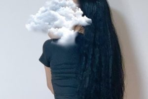 INSBiBi夫妇日常视频合集88V27G火辣