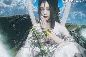 推特新手司机经典珍藏收藏级作品662部5.6G