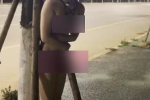 8部推特小小星户外气质妻子展示合集2.43G风情万种太敢秀